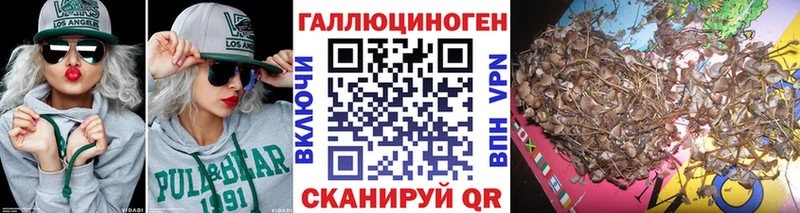 Купить закладки Белозерск Галлюциногенные грибы MAGIC MUSHROOMS